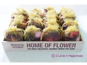 Poppouri Gift Packs